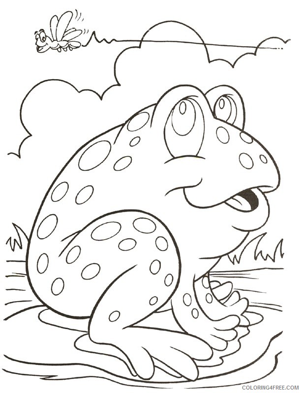 <strong>animal</strong> frog coloring pages frog coloring pages tadpole coloring4
