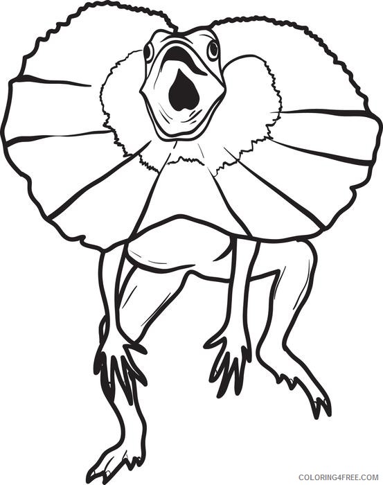 Lizard Coloring Pages Desert Coloring4free Frilled Neck Easy