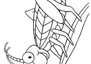 Insect Coloring Pages Coloring4free Cute Grasshopper