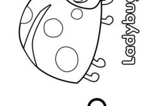 Ladybug Coloring Pages Coloring4Freecom