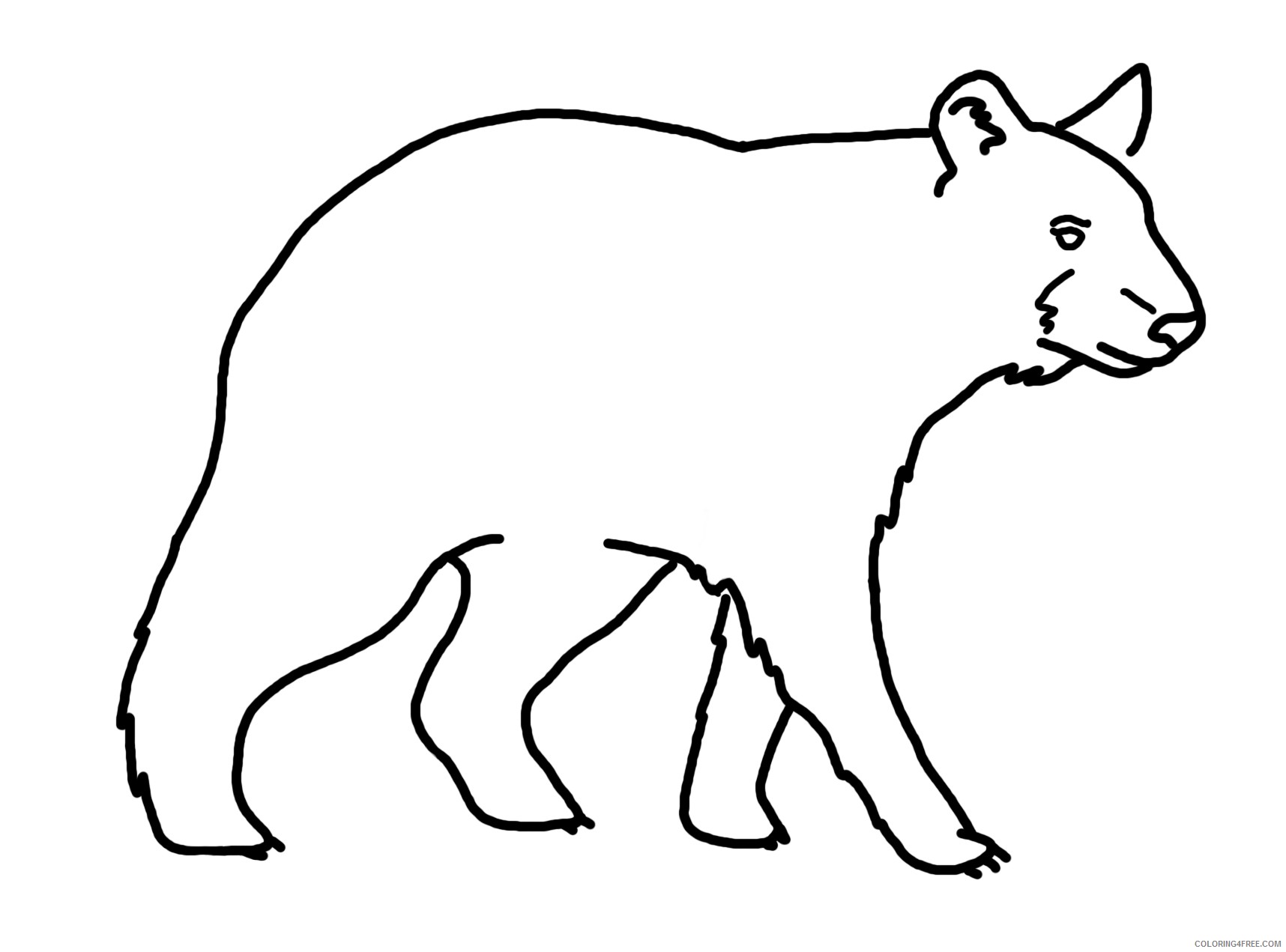 29 bear line drawing that you can download to you efgAII coloring