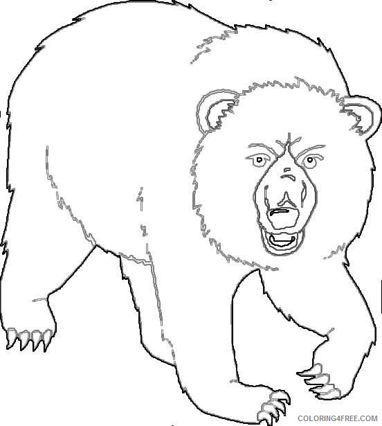 all bears JlMskn coloring