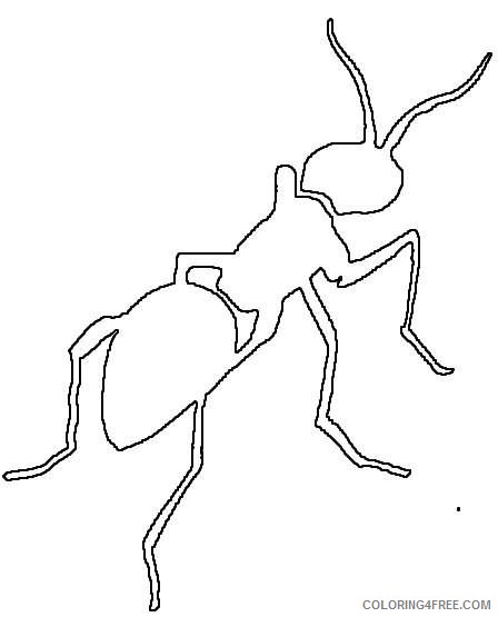 ant black and white 8ITHiQ coloring
