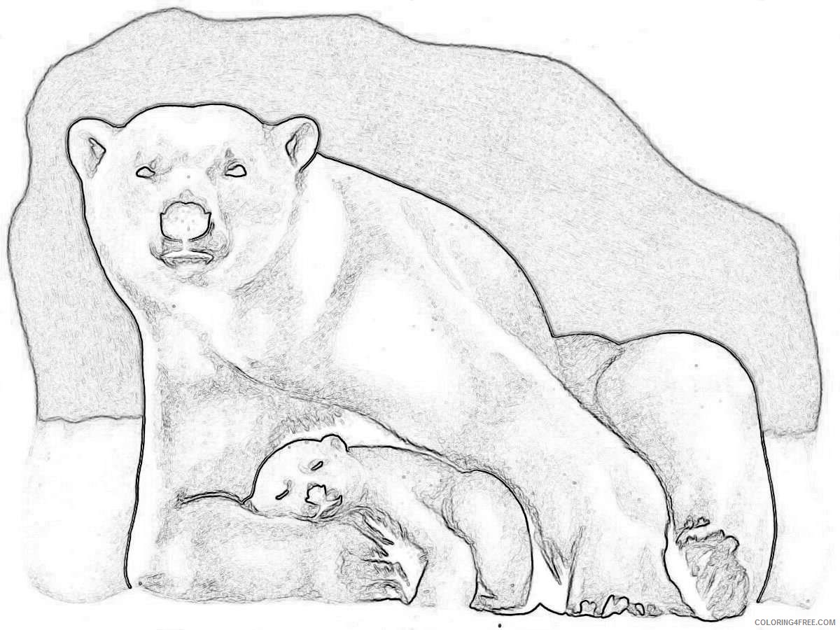 baby polar bear cartoon that you can download to you w1PqYE coloring