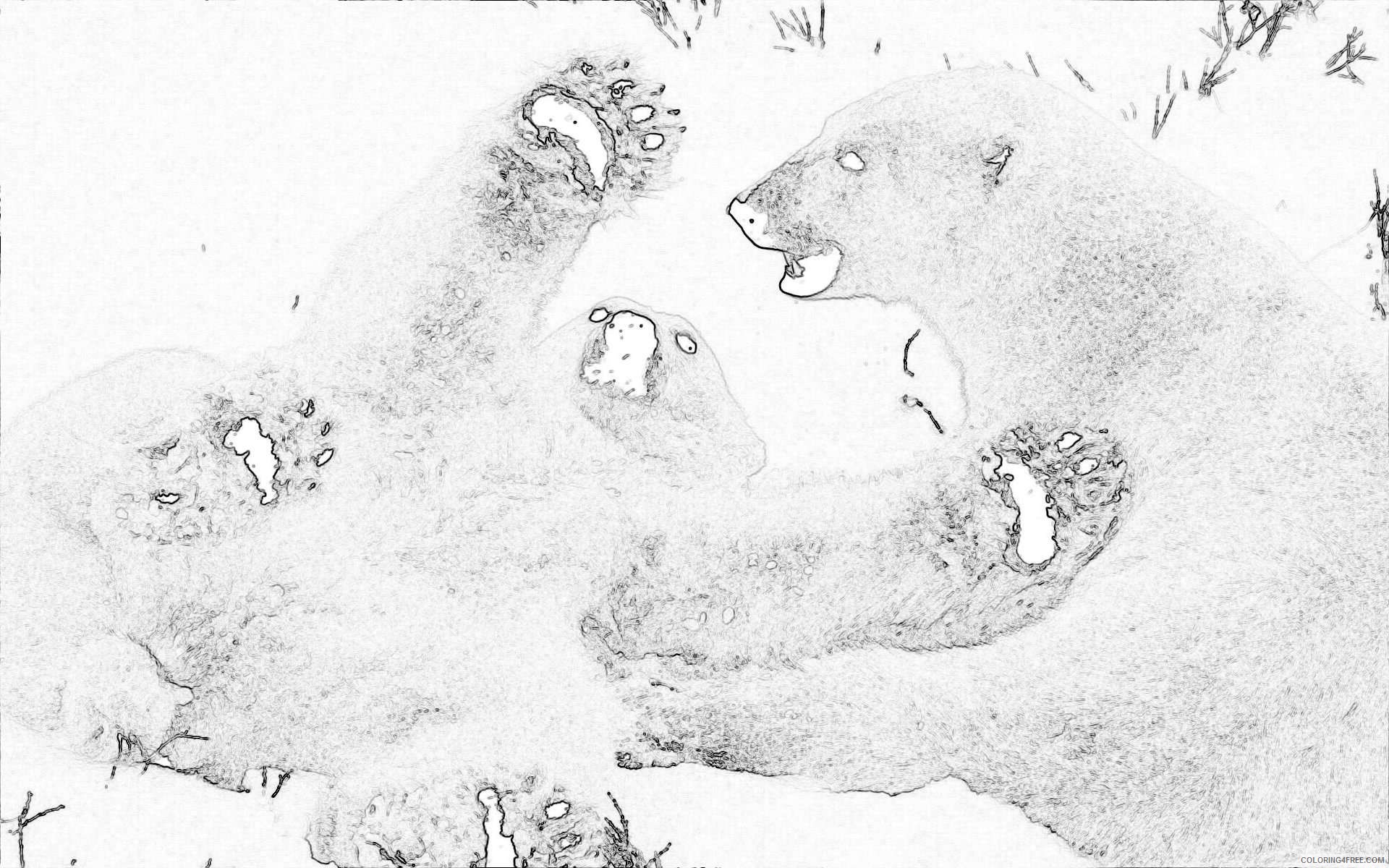 back gallery for bear cub climbing silhouette 4yTwtO coloring