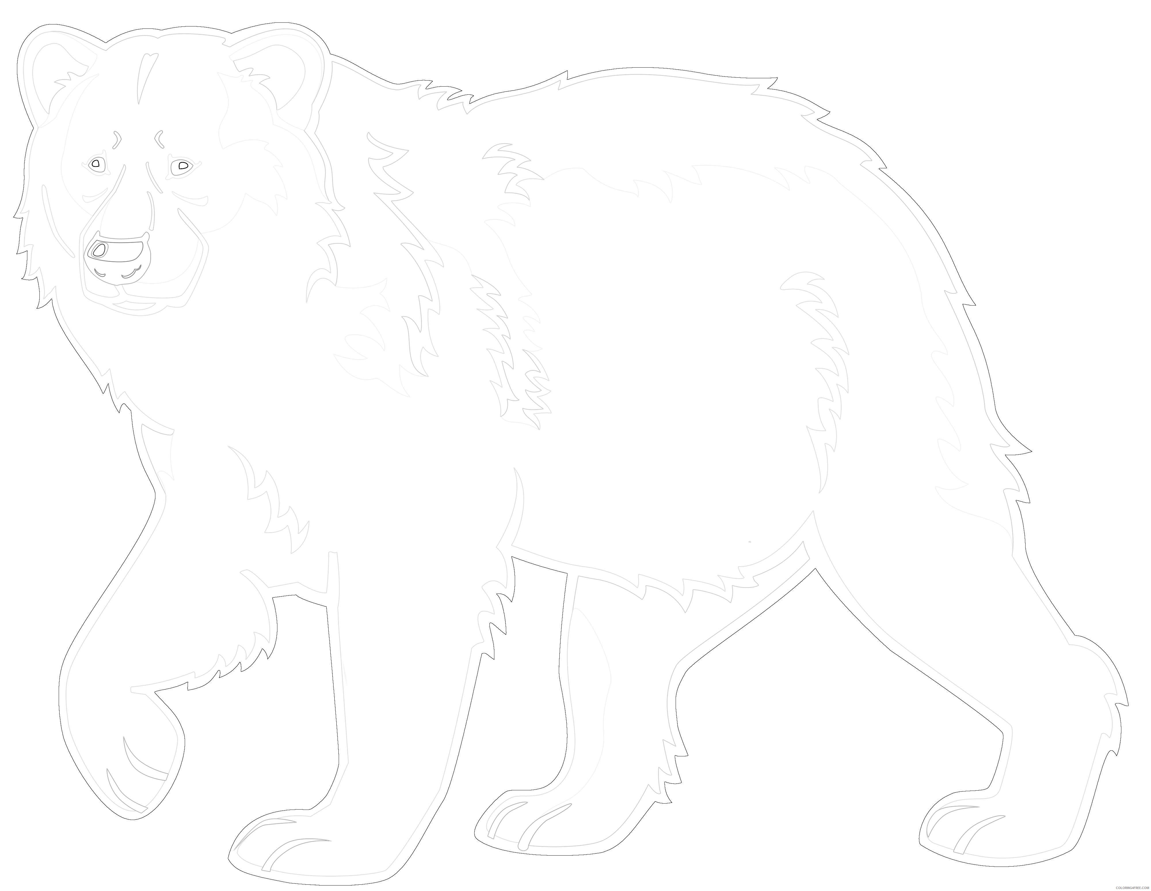 bear polar bear pics 2wiz 2 coloring