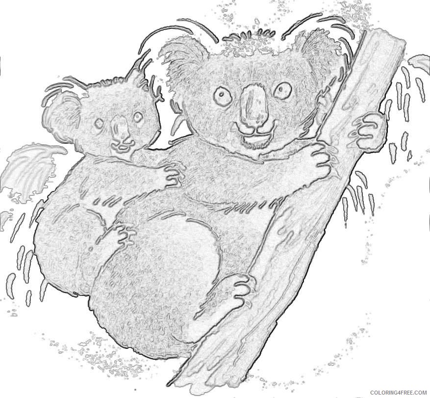 clipart of koala koala koala bear presley s book Li8l7W coloring