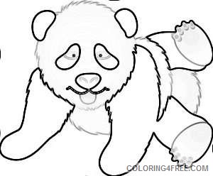 cute bear ONw8nH coloring