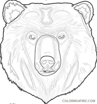 grizzly bear Sa4jQW coloring