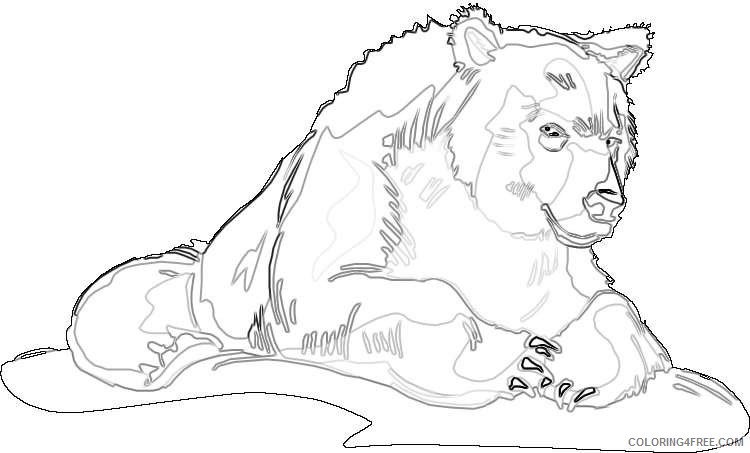 grizzly bear bear grizzly for you coloring