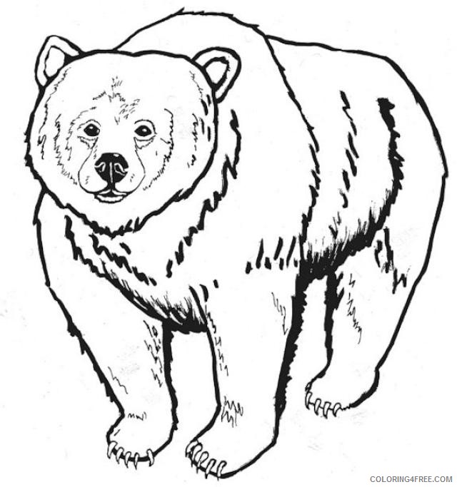 grizzly bear coloring page 0XskUp coloring