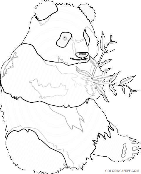 panda bear online K13W7K coloring