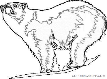 polar bear bearcow coloring