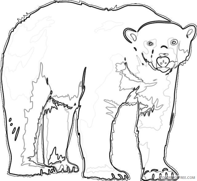 polar bear new calendar template site kqBnmC coloring