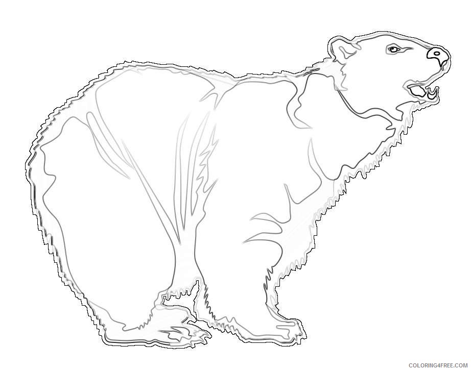 to use public domain bear AflRTe coloring