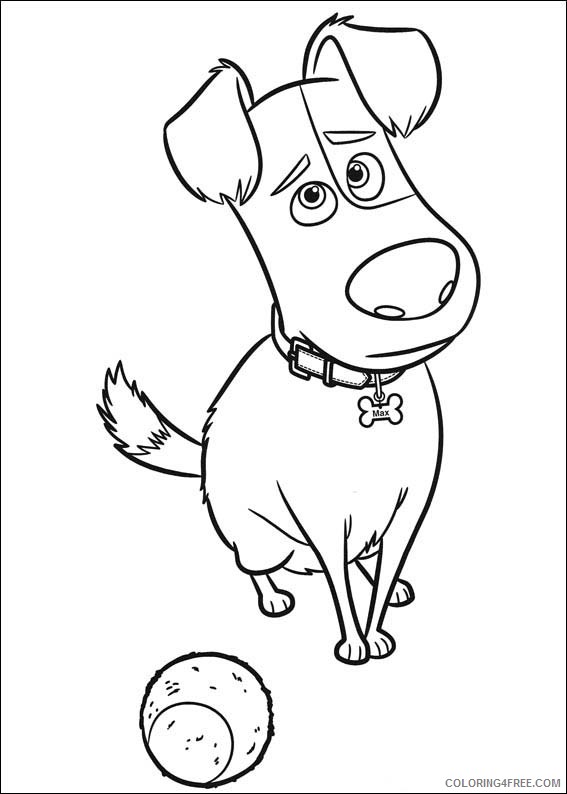 The Secret Life of Pets Coloring Pages TV Film max Printable 2020 09480 ...