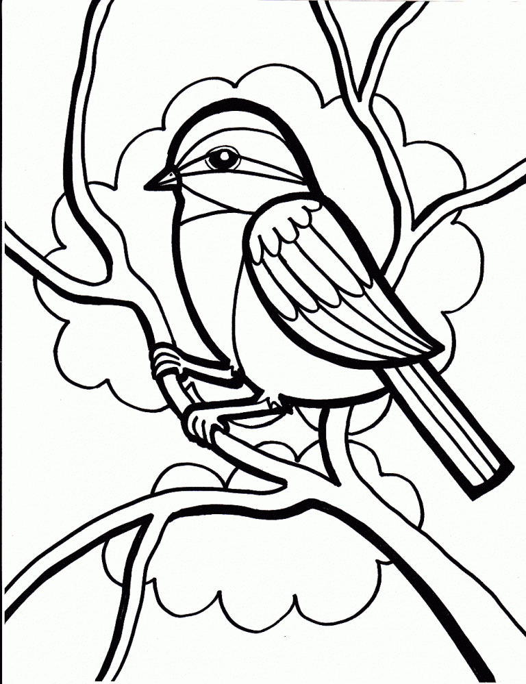 10 Simple Bird Outline Coloring Pages for All Ages