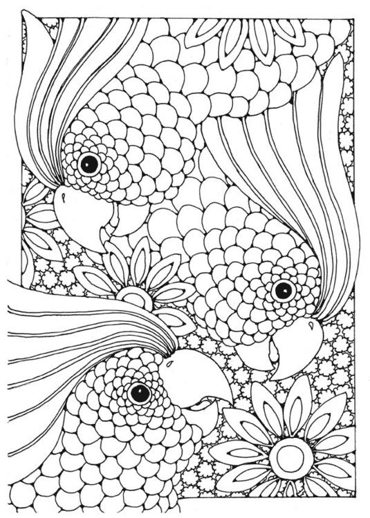 Complex Coloring Pages Abstract Birds Coloring4free Coloring4free Com