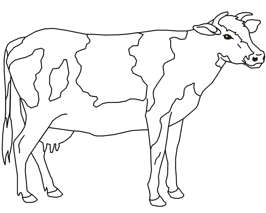 Dairy Cow Colouring Pages - All About Cow Photos