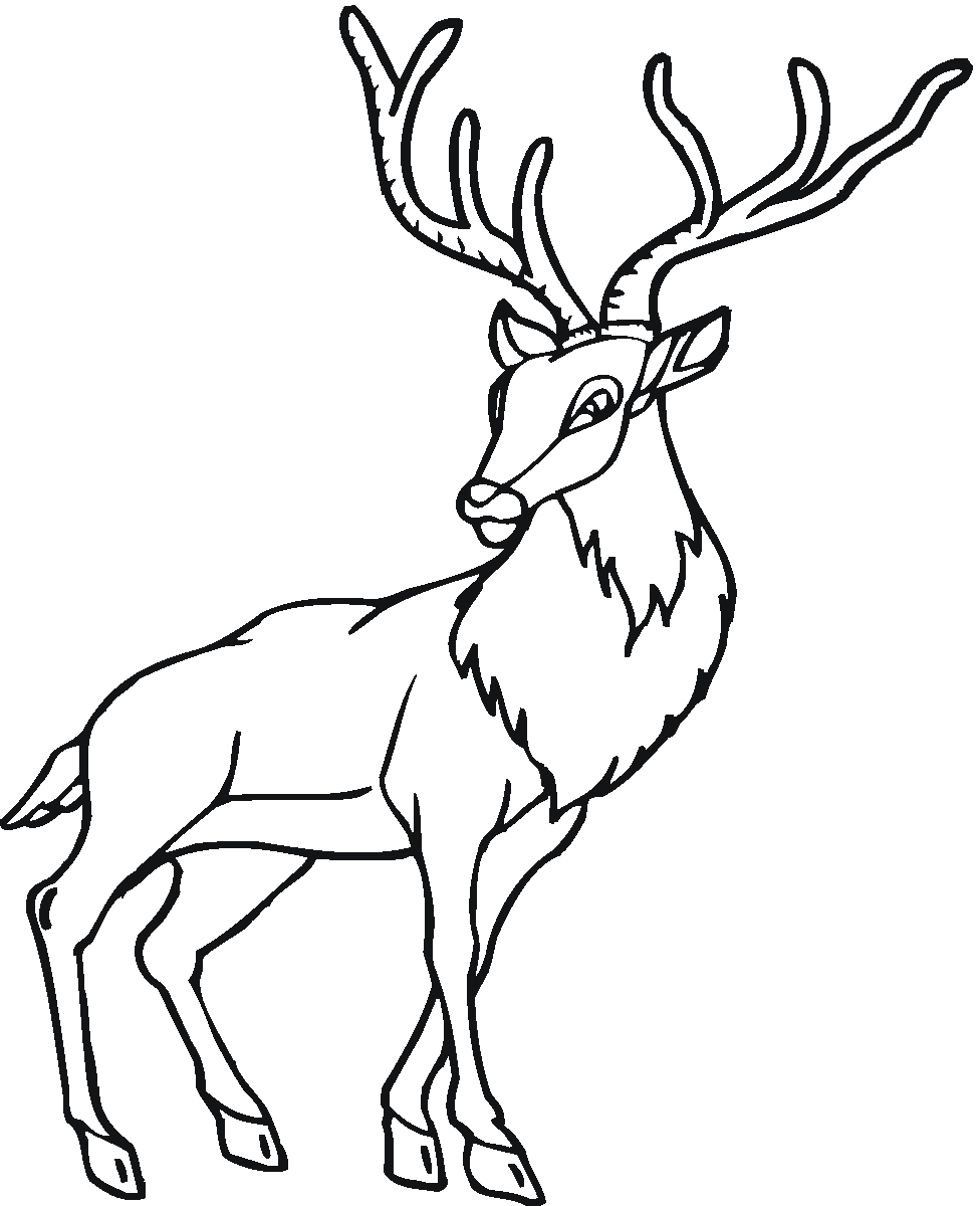 Deer Coloring Pages With Horn Coloring4free Coloring4free Com