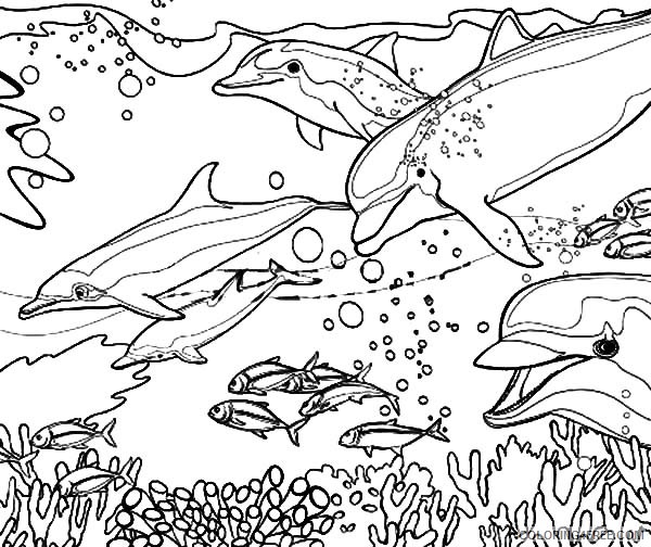 dolphin coloring pages in ocean Coloring4free - Coloring4Free.com