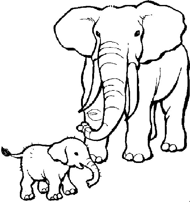 Elephant Coloring Pages Baby And Mom Coloring4free Coloring4free Com