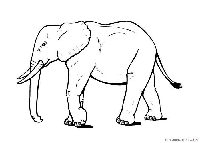 elephant coloring pages free to print Coloring4free - Coloring4Free.com