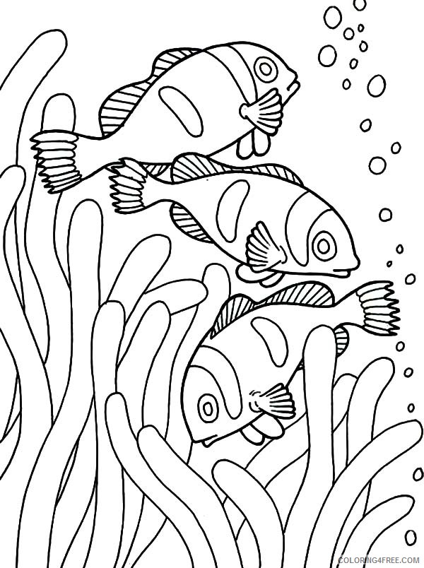 Fish Coloring Pages Clown Fish In Anemone Coloring4free Coloring4free Com