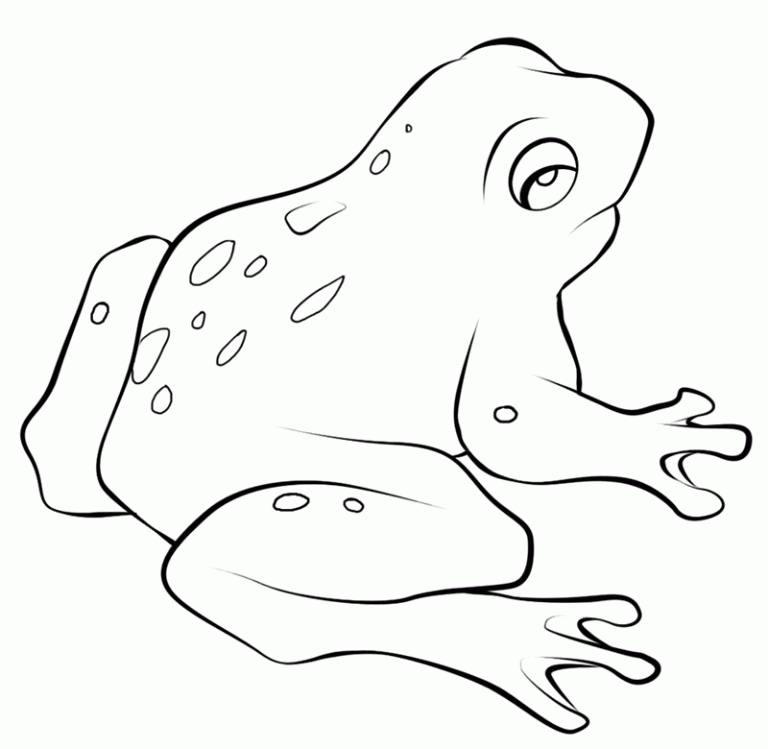 Coloring Pages Frog Coloring Pages sheet of cartoon outline Printable ...