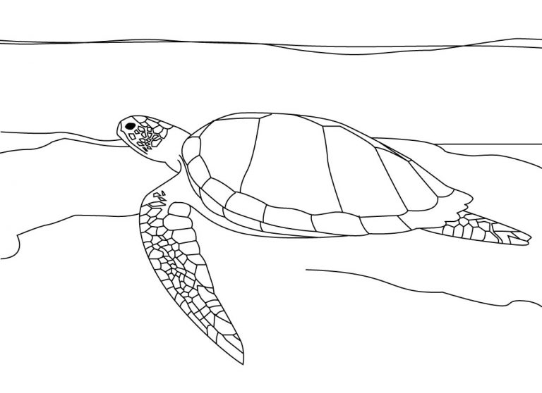 printable sea turtle coloring pages for adults Coloring4free ...