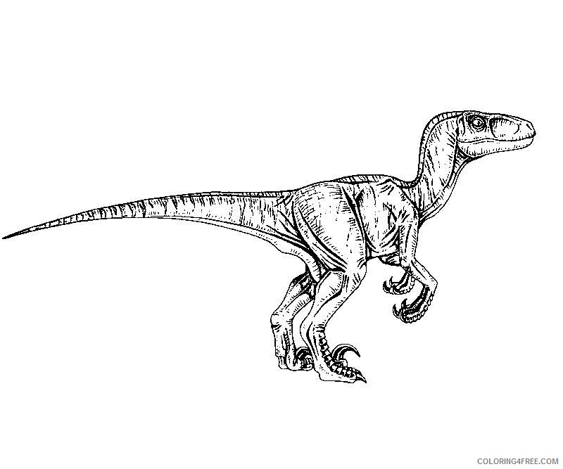 Jurassic Park Coloring Pages Velociraptor Coloring4free Coloring4free Com