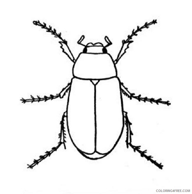 4400 Lightning Bugs Coloring Pages , Free HD Download