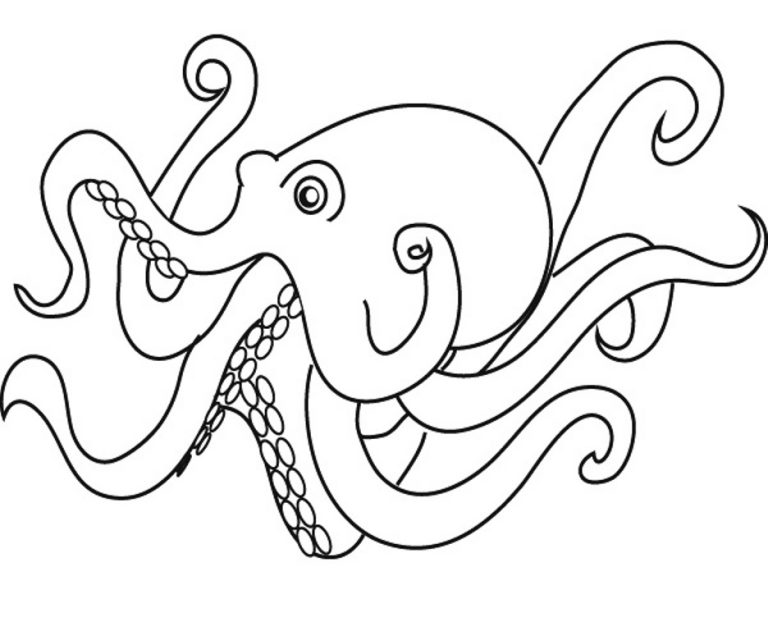 Octopus Outline Coloring Pages octopus Printable Coloring4free ...