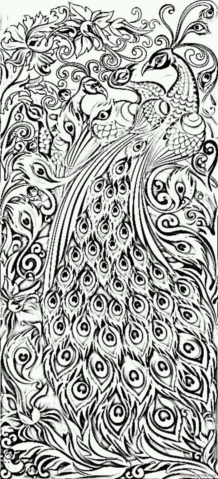 Featured image of post Peacock Colouring Pages Hard Almost all pictures are original drawings