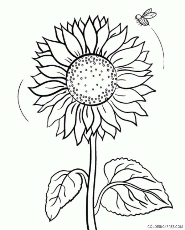 Printable Sunflower Coloring Pages Coloring4free Coloring4free Com - sunflower roblox piano sheet