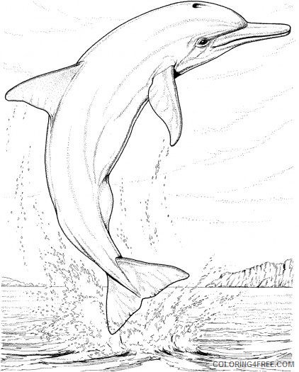 Dolphin Coloring Pages Baby And Mom Coloring4free Coloring4free Com
