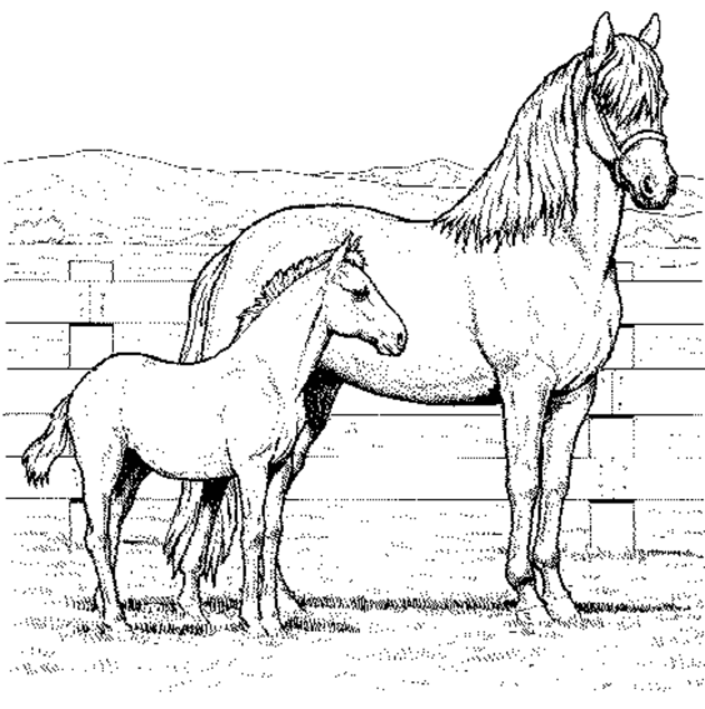 Black And White Horse Coloring Pages American Indian Indian On Printable Coloring4free Coloring4free Com