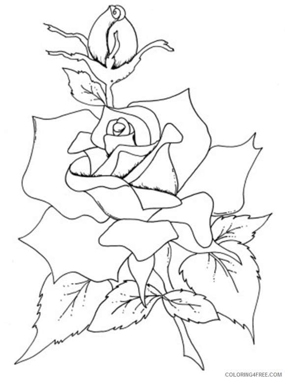 rose coloring pages for adults Coloring4free - Coloring4Free.com