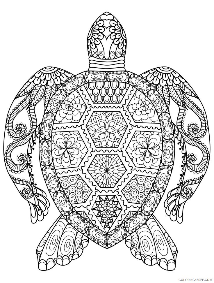 Printable Sea Turtle Coloring Pages For Adults Coloring4free