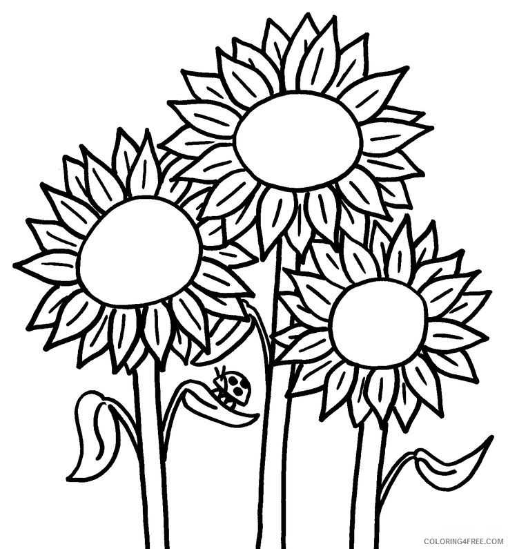 Sunflower Coloring Pages With Ladybug Coloring4free Coloring4free Com - sunflower roblox piano sheet
