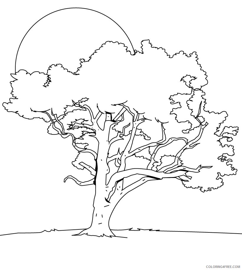 tree coloring pages with sun Coloring4free - Coloring4Free.com