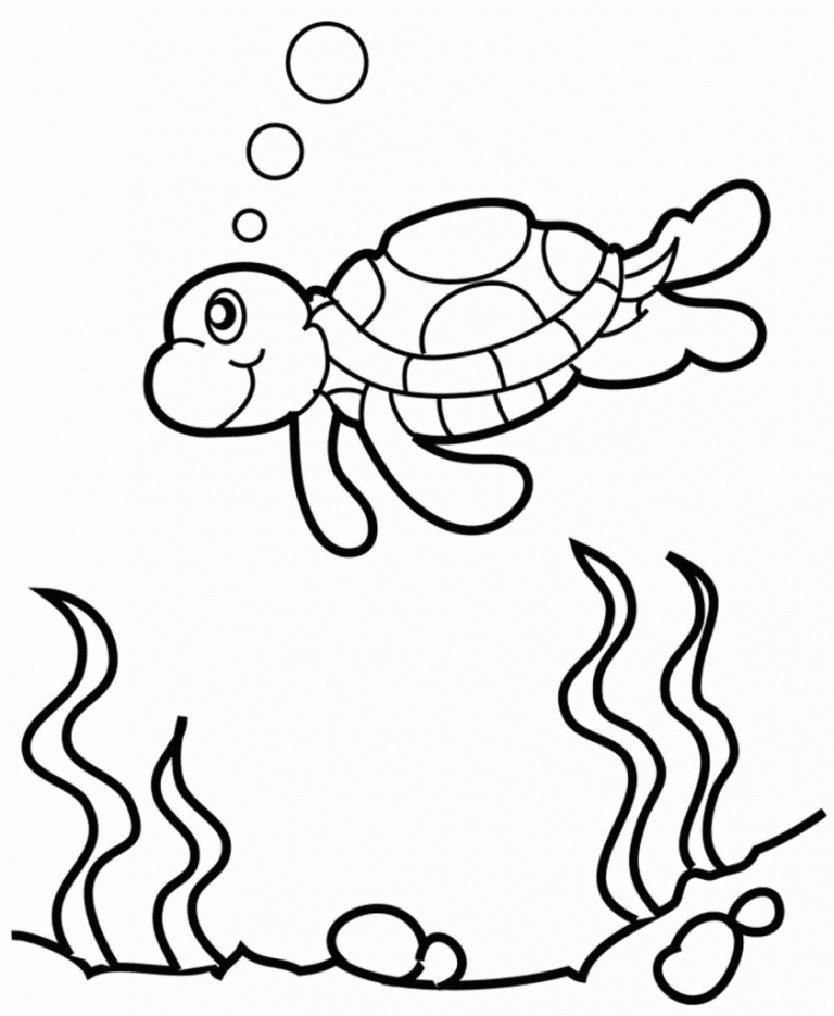 Turtle Outline Coloring Pages turtle 28 png Printable Coloring4free ...