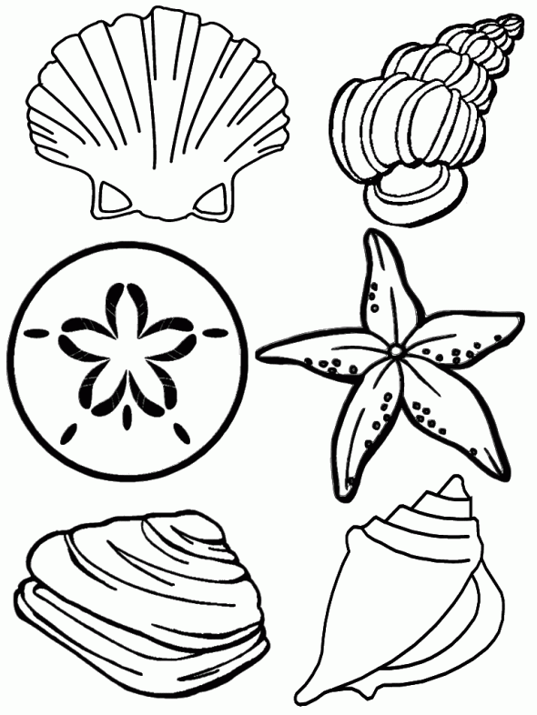 Under The Sea Coloring Pages Seashells Coloring4free Coloring4free Com
