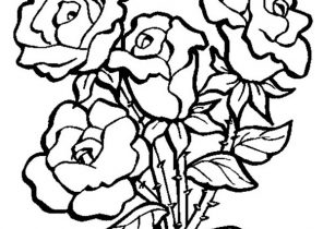Download Rose Coloring Pages Online