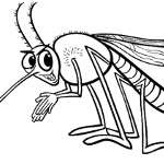 Bug Coloring Pages