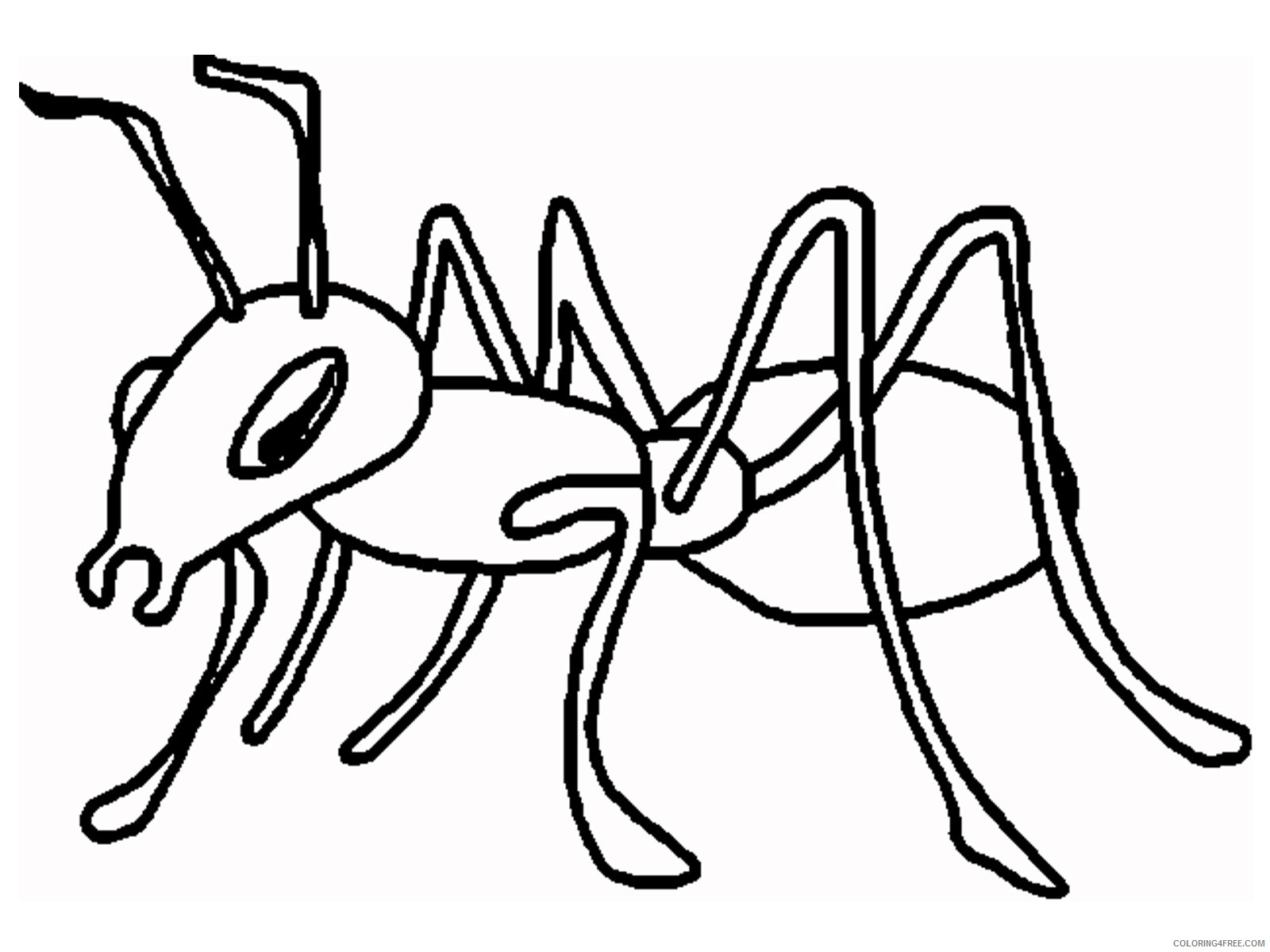 ant cartoon and printable ants coloring pages iR6k24 coloring
