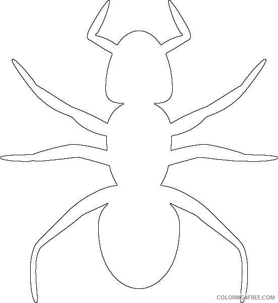 ant outline template best rTwKOr coloring