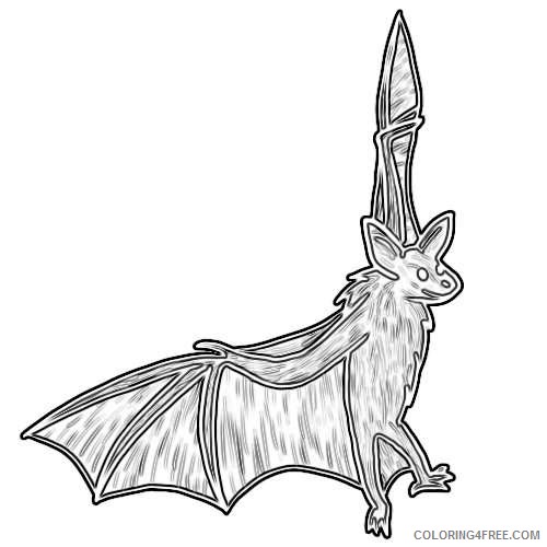 bat drawings andlorful 6 coloring