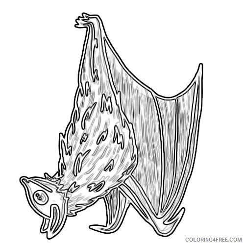 bat drawings andlorful 9 coloring
