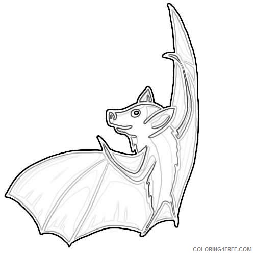 bat drawings andlorful coloring